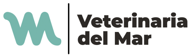 Logo_Grupo_Pos_CAST-e1608815582314